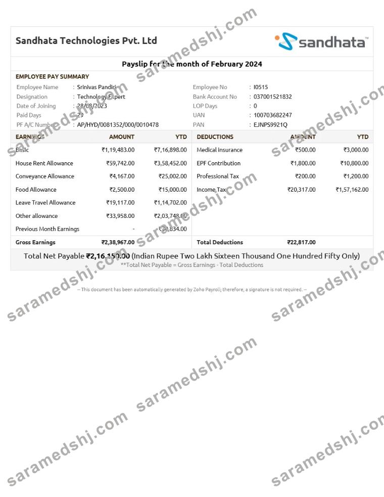 Sandhata Technologies payslip template in Word and PDF formats.pdf, 1